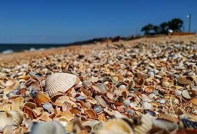 Солнце и пляж – недорого: где на черноморском побережье можно экономно провести свой отпуск