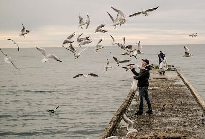 Караулы пера: почему все больше туристов начинают подглядывать за птицами в Краснодарском крае