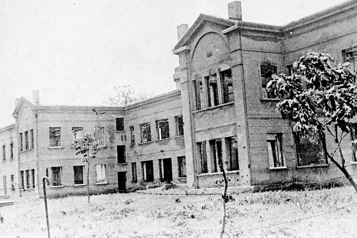 Итоги гитлеровской оккупации Итоги гитлеровской оккупации