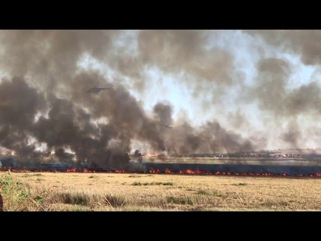 Вертолеты тушат пожар в плавнях Анапы