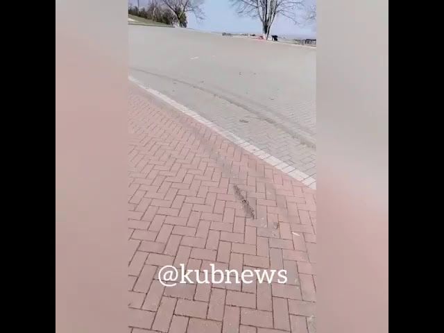 Мемориал Сопка Героев в Крымске. Неизвестные снесли дерево