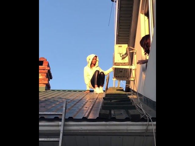 Алана Мамаева лазит по крышам Краснодара в поисках улетевшего попугая