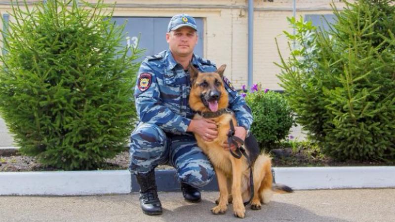 Спасенный пес получил кличку Мухтар и остался служить в полиции