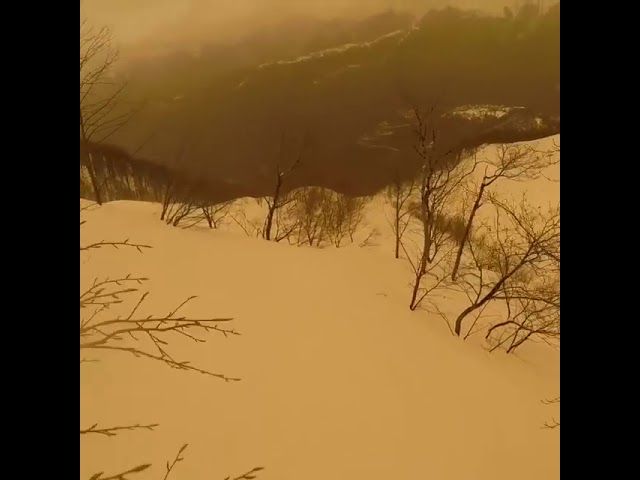 Желтый снег на Красной Поляне