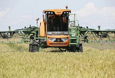 Аграрии Кубани приступили к уборке риса