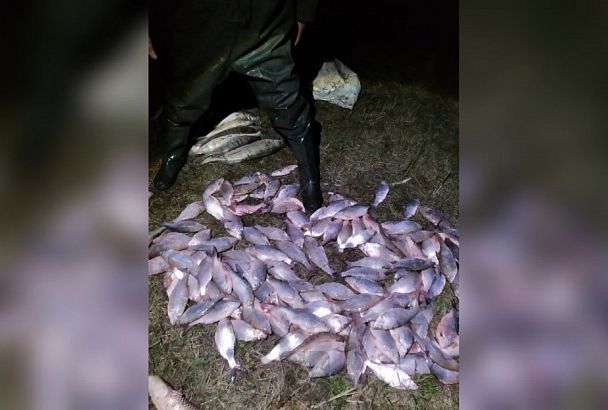Ущерб на 280 тыс. рублей: суд отправил браконьера на 2 года в колонию-поселение за незаконную рыбалку