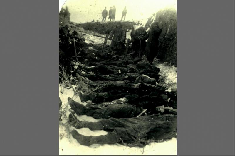 Во время оккупации Армавира фашистские каратели применяли массовые казни мирных граждан.