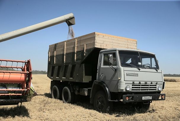 В Краснодаре собрано более 72,8 тыс. тонн зерна