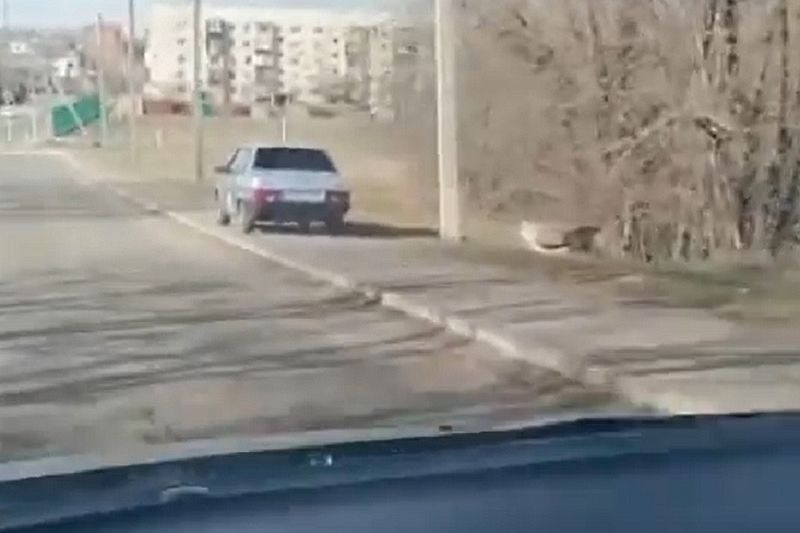 ГИБДД нашла водителя ВАЗ-21099, который ездил по тротуару. Он оштрафован