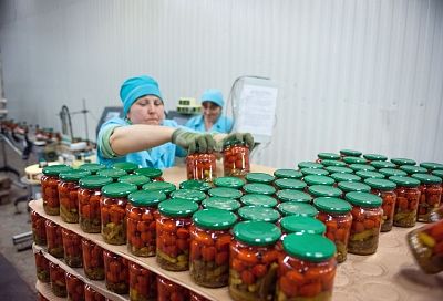 В Каневском районе за счет программы «Пищевик» идет модернизация перерабатывающих производств