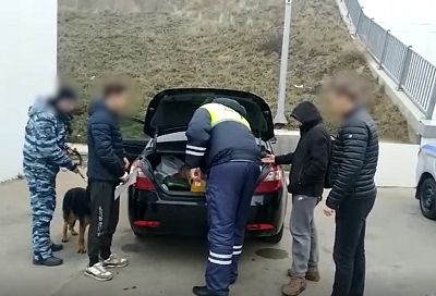 ФСБ опубликовала видео задержания сбытчиков наркотиков из Крыма в Краснодарском крае