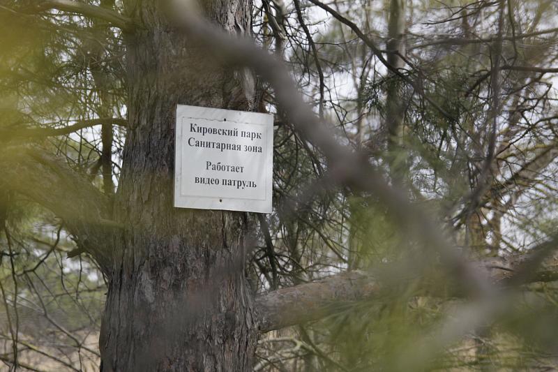 Предупреждающие таблички, установленные на территории Кировской рощи, не останавливают нарушителей экологического законодательства.