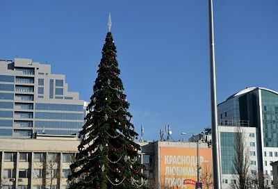 Новый год близко: главную городскую елку украсили в Краснодаре