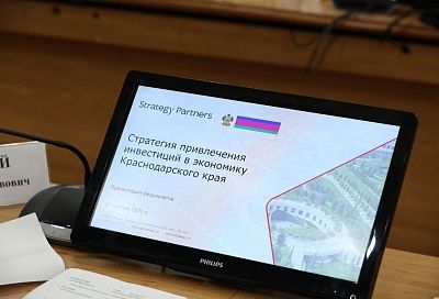Strategy Partners определили ключевые направления развития экономики Краснодарского края с высоким инвестиционным потенциалом