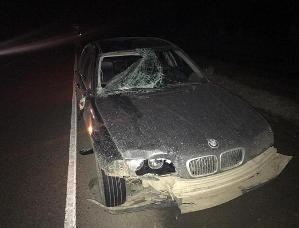 На трассе Краснодар – Ейск 23-летний водитель BMW сбил пешехода