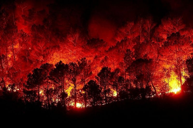 Июль пышет огнем: как избежать трагедии в сезон высокой пожароопасности