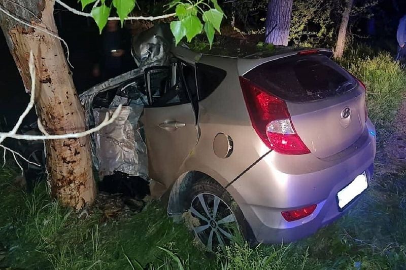 В Краснодарском крае иномарка съехала с дороги и врезалась в дерево. Водитель погиб