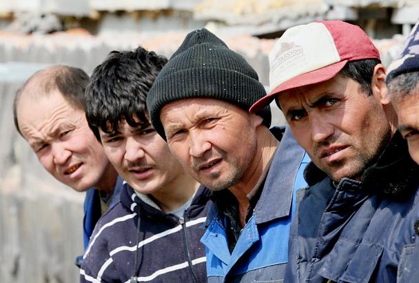 В пригороде Краснодаре задержана группа нелегальных мигрантов