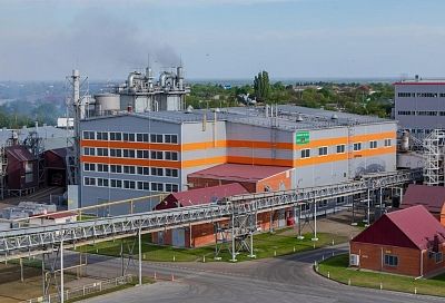Губернатор Вениамин Кондратьев: «Краснодарский край наращивает темпы производства растительных масел»