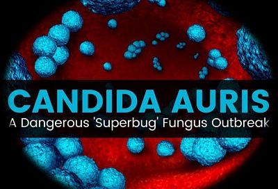Новый грибок кандида аурис: врач рассказал, как за 30 минут выявить эту опасную инфекцию в домашних условиях
