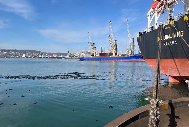 Росприроднадзор через суд добивается возмещения ущерба в 450 млн за загрязнение Черного моря в Новороссийске