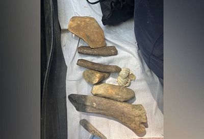 Скелет древнего кита обнаружили археологи в Апшеронском районе