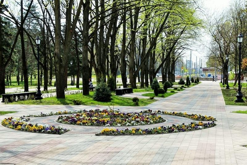 Глава Краснодара объяснил, почему на городских клумбах мало цветов