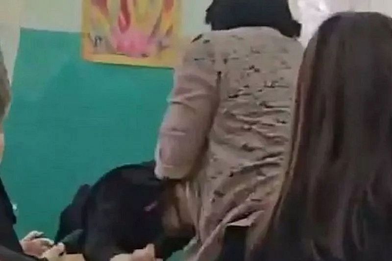 Екатерина Мизулина отреагировала на инцидент с педагогом, пнувшей ученика на уроке в Туапсе