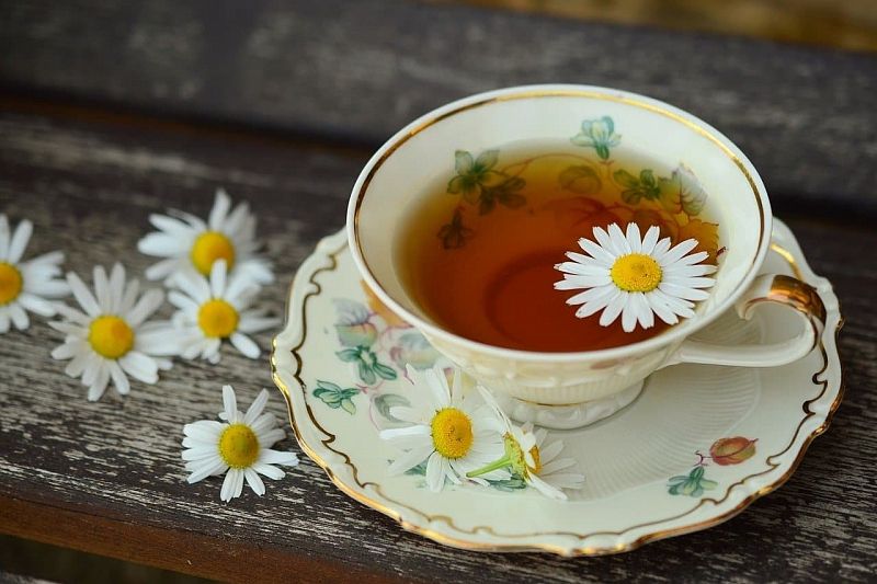 Три рецепта приготовления чая из трав и ягод для поддержания здорового иммунитета