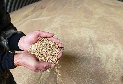 Что делать с рекордным урожаем зерновых
