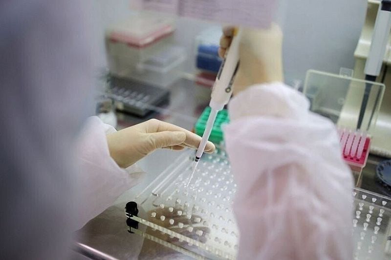 За неделю в Краснодарском крае выявили 359 случаев коронавируса
