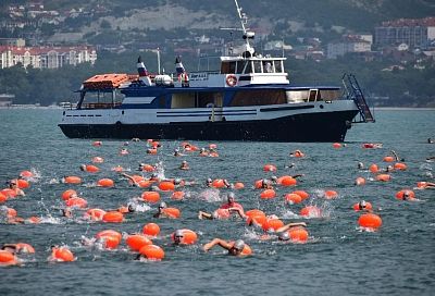 Аквамены Черного моря: в Геленджике провели заплыв «Морская миля»