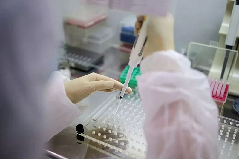 Попова заявила о риске появления в мире нового высокопатогенного вируса гриппа