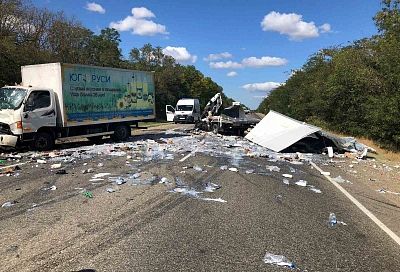 Молоко по всей трассе: смертельное ДТП с участием трех грузовиков произошло на Кубани 