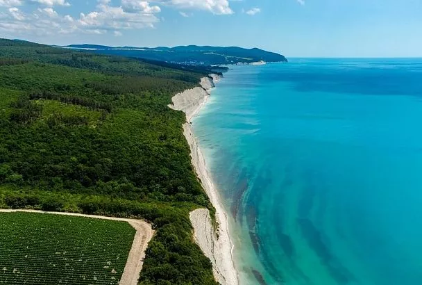 Вода в Черном и Азовском морях у берегов Краснодарского края резко остыла