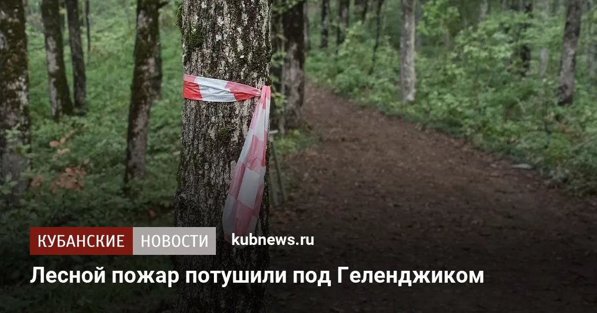 Лесной пожар потушили под Геленджиком