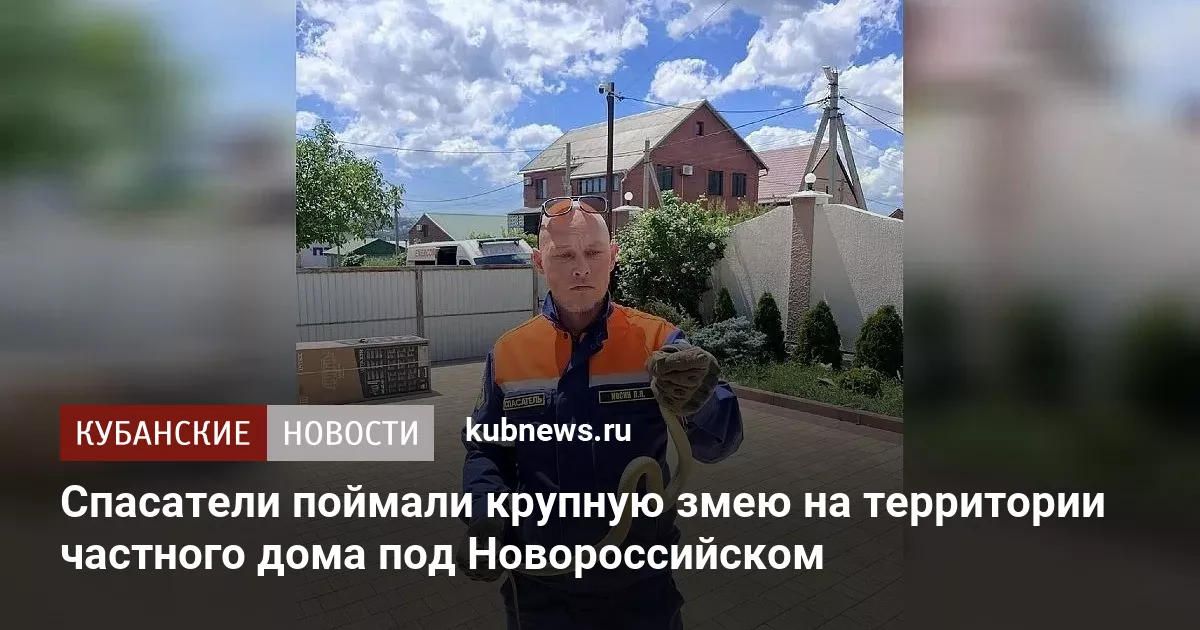 Спасатели поймали крупную змею на территории частного дома под Новороссийском