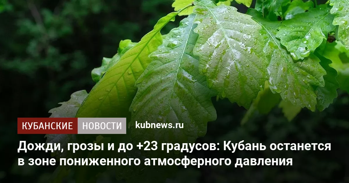 Дожди, грозы и до +23 градусов: Кубань останется в зоне пониженного атмосферного давления