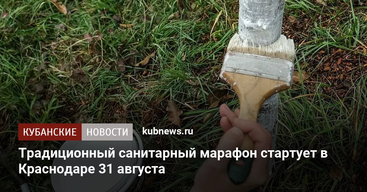 Традиционный санитарный марафон стартует в Краснодаре 31 августа