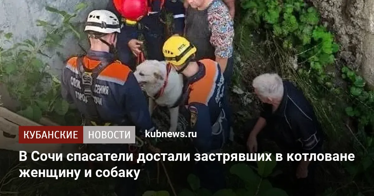 В Сочи спасатели достали застрявших в котловане женщину и собаку