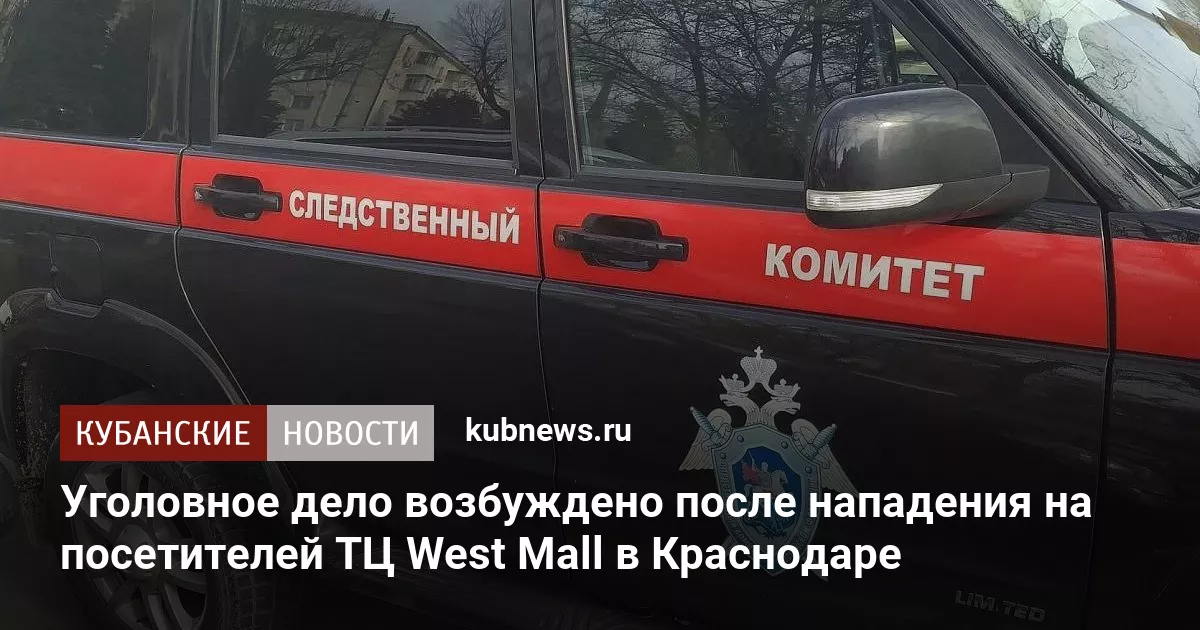 Уголовное дело возбуждено после нападения на посетителей ТЦ West Mall в Краснодаре