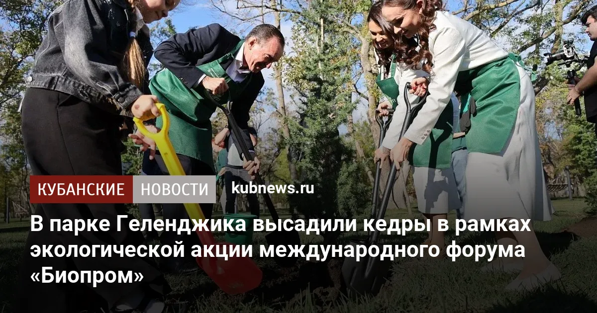 В парке Геленджика высадили кедры в рамках экологической акции международного форума «Биопром»