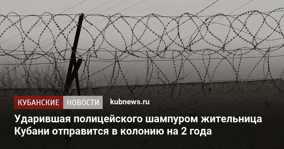 Ударившая полицейского шампуром жительница Кубани отправится в колонию на 2 года