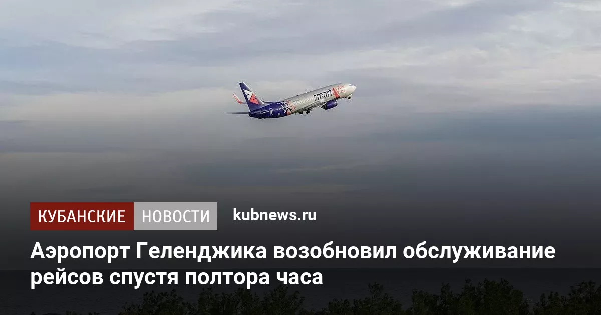 Аэропорт Геленджика возобновил обслуживание рейсов спустя полтора часа