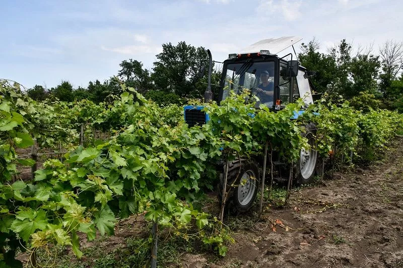 В 2018 году фермер Олег Марков выиграл краевой грант по госпрограмме поддержки на развитие КФХ в сумме 1,5 млн. рублей. В 2018 году фермер Олег Марков выиграл краевой грант по госпрограмме поддержки на развитие КФХ в сумме 1,5 млн. рублей.