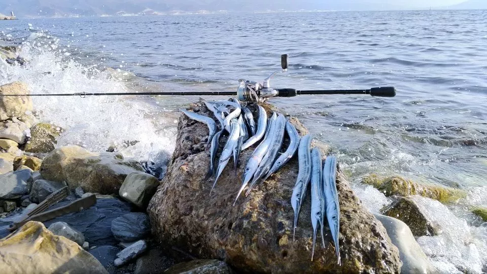 Морские трофеи