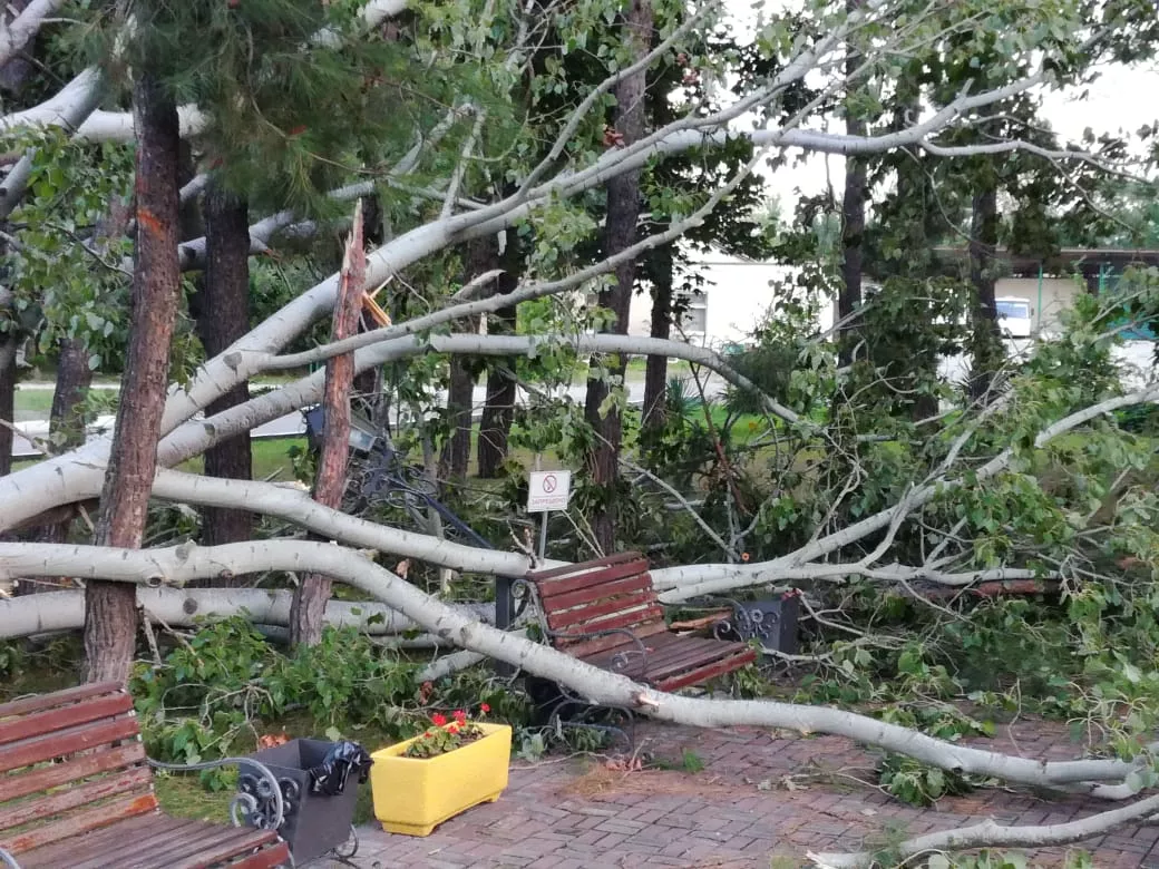 Утро 26 июля 2018 года в Геленджике. Накануне сильный ветер повалил деревья. Утро 26 июля 2018 года в Геленджике. Накануне сильный ветер повалил деревья.