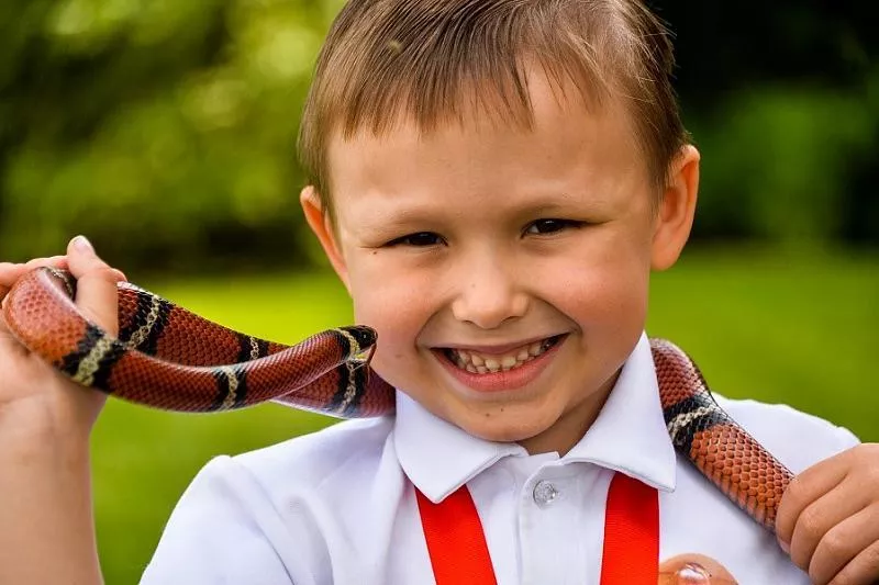 Аким Лавелин Аким Лавелин