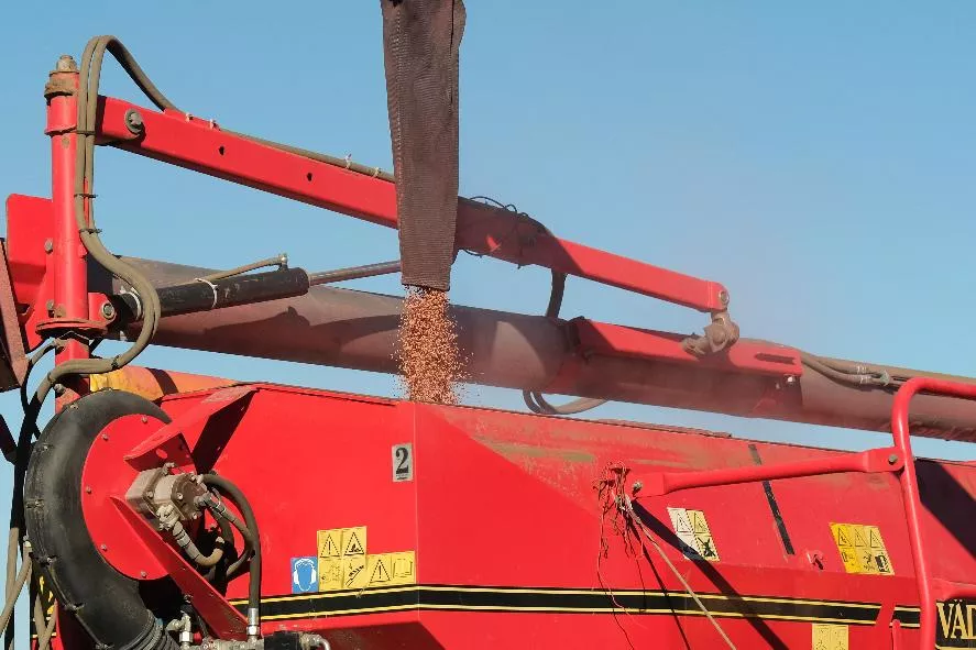 С помощью «хобота» бункеры посевного комплекса заполняются семенами за несколько минут