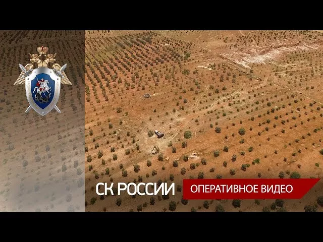 СК России предъявлено обвинение участникам террористической организации, причастным к гибели летчика